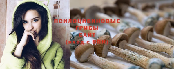 спайс Переславль-Залесский