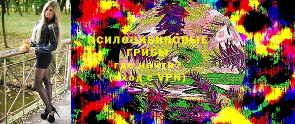 МДПВ Кукмор