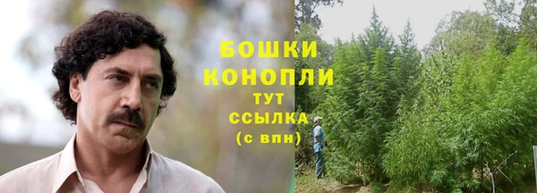 МДПВ Кукмор