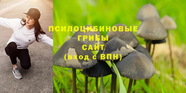 МДПВ Кукмор