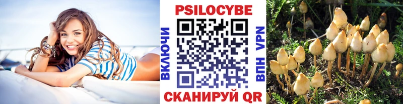 закладки hydra маркетплейс Псилоцибиновые грибы Magic Shrooms Солигалич